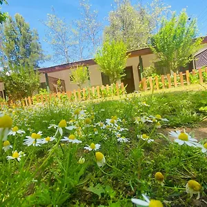 Salih Homestay Kemer