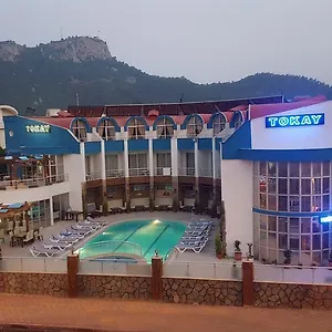 Tokay Kemer