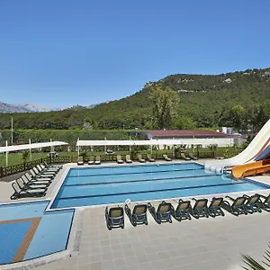 Palmet Kiris