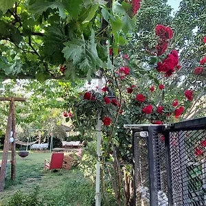 Bed & Breakfast Mavi Pansiyon