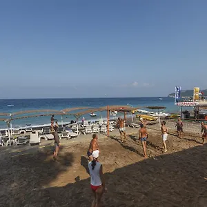 Sentido Palmet